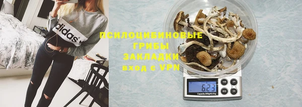 мдпв Касимов