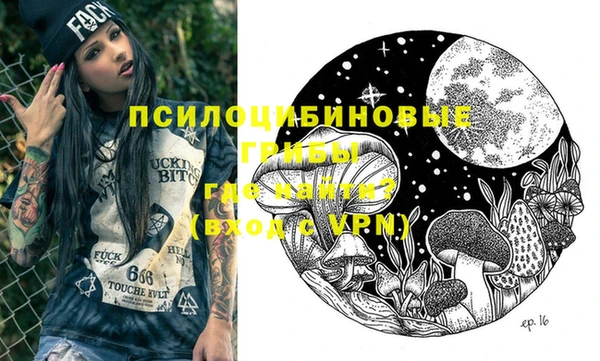 мдпв Касимов