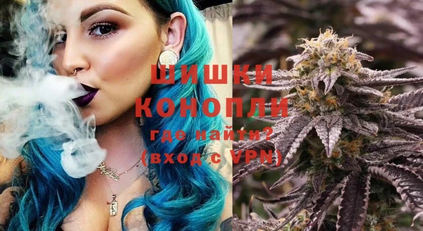 мдпв Касимов