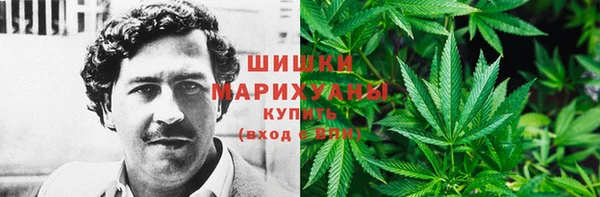 мдпв Касимов