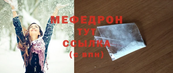 мдпв Касимов