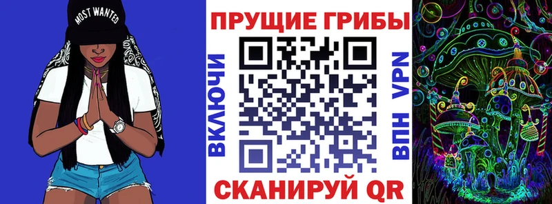 Галлюциногенные грибы MAGIC MUSHROOMS  Купить закладки  Верхняя Тура 